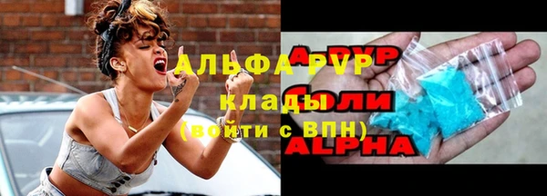крисы Алексин