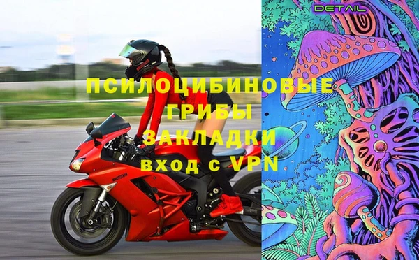 крисы Алексин