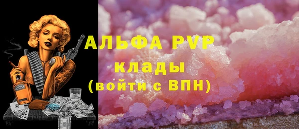 крисы Алексин