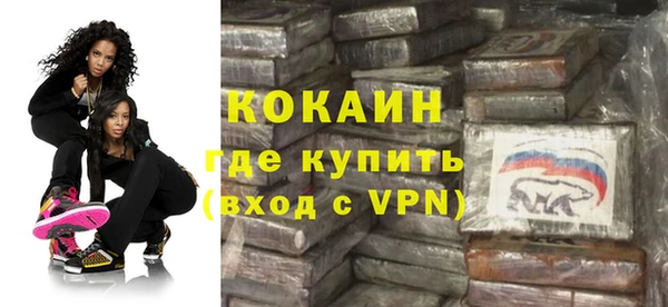шишки Аркадак