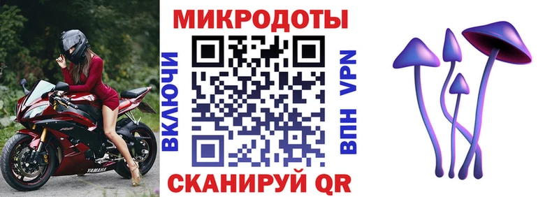 где купить наркотик  Берёзовский  Псилоцибиновые грибы GOLDEN TEACHER 